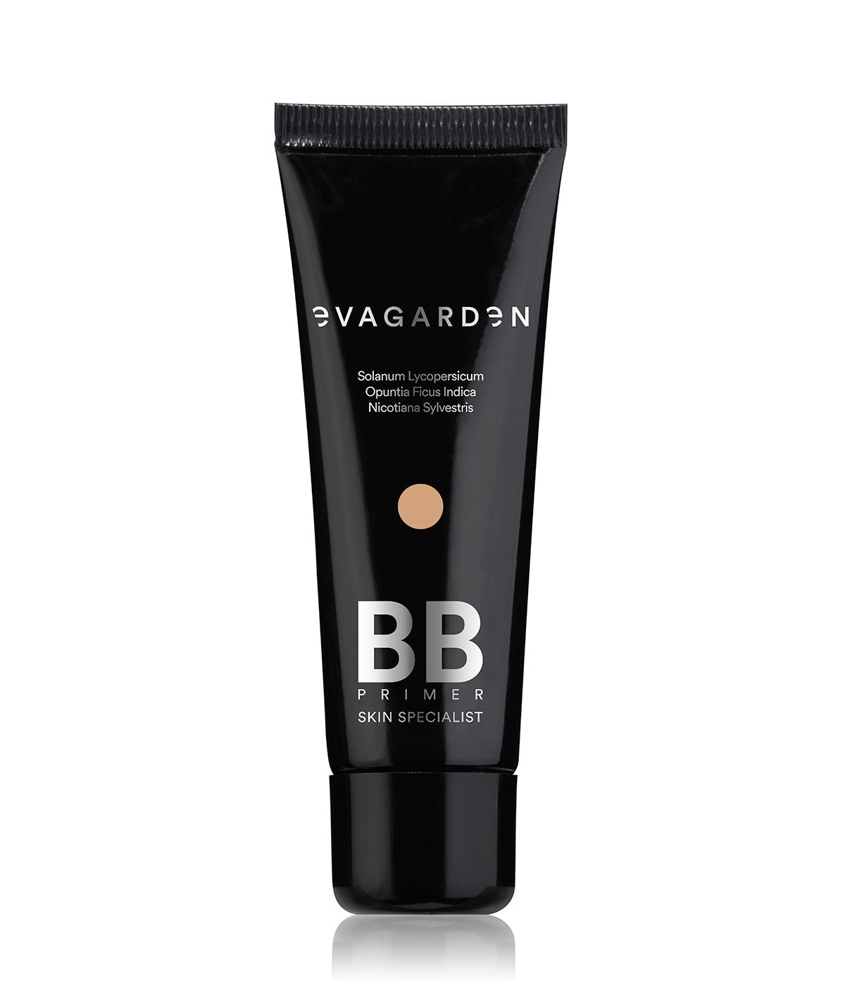 BB Primer BB Primer