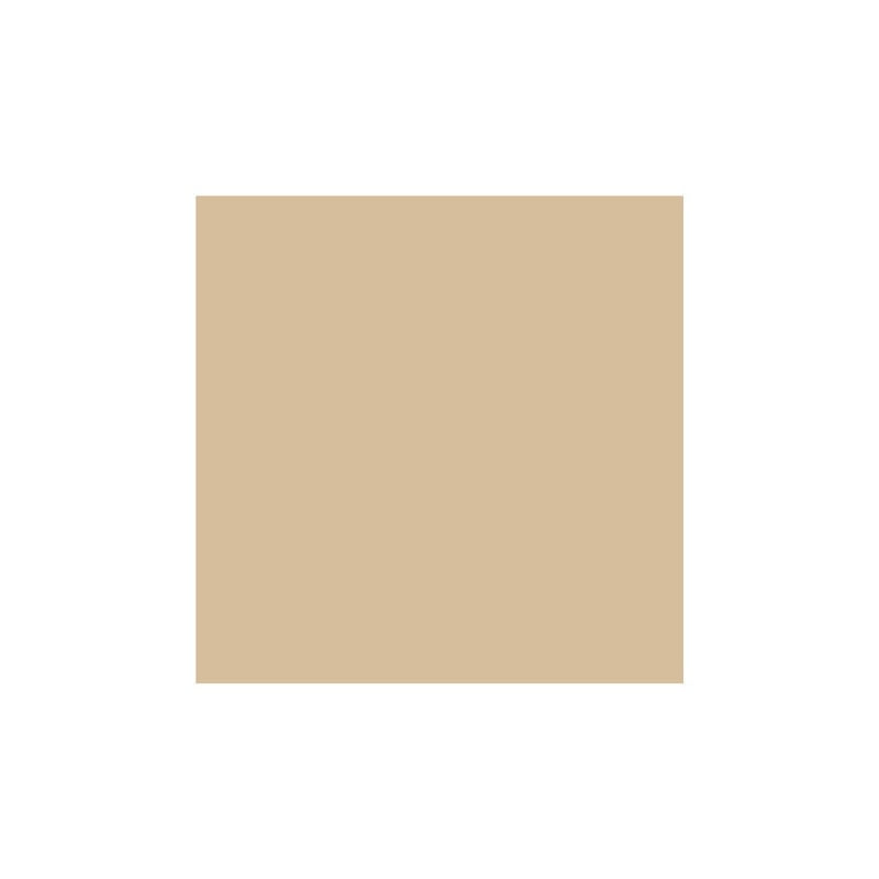 Perfect Skin Foundation - Aldo Coppola