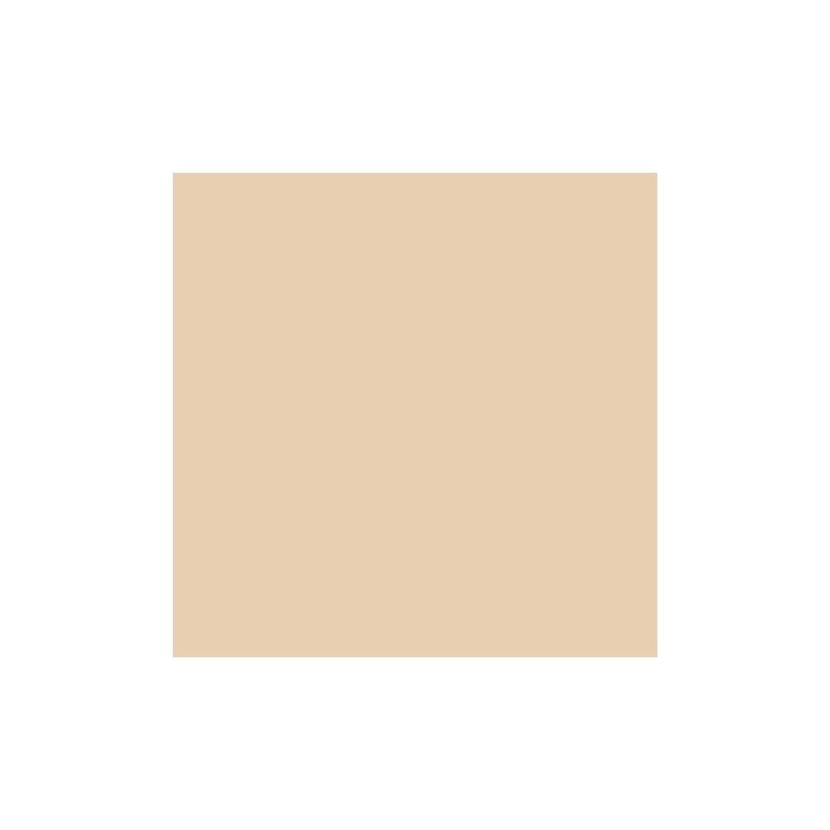 Perfect Skin Foundation Perfect Skin Foundation